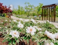 헤드라인 기사 이미지