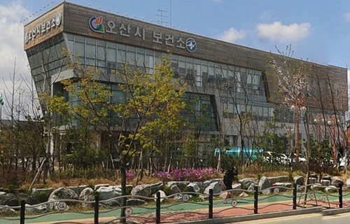 기사이미지