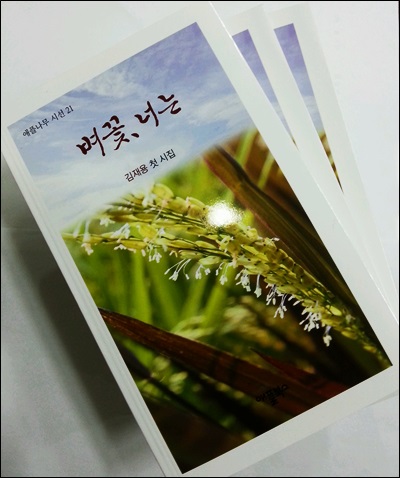 기사이미지
