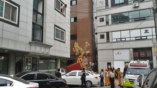 기사이미지